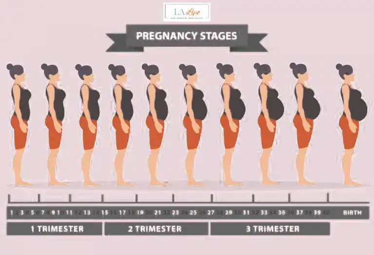 First Trimester (Weeks 1–12): Early Changes You Might Not Notice Edgware